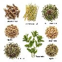 Organic Ayurvedic Detox Tea Bags